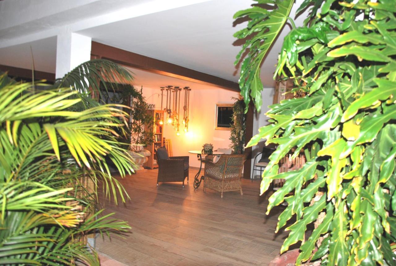 Lacy Golf Apartments (Adults Only) Maspalomas  Esterno foto