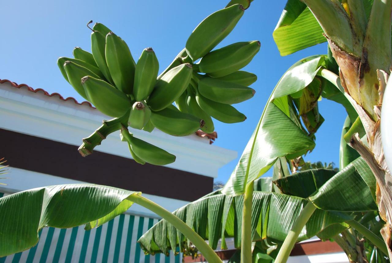 Lacy Golf Apartments (Adults Only) Maspalomas  Esterno foto